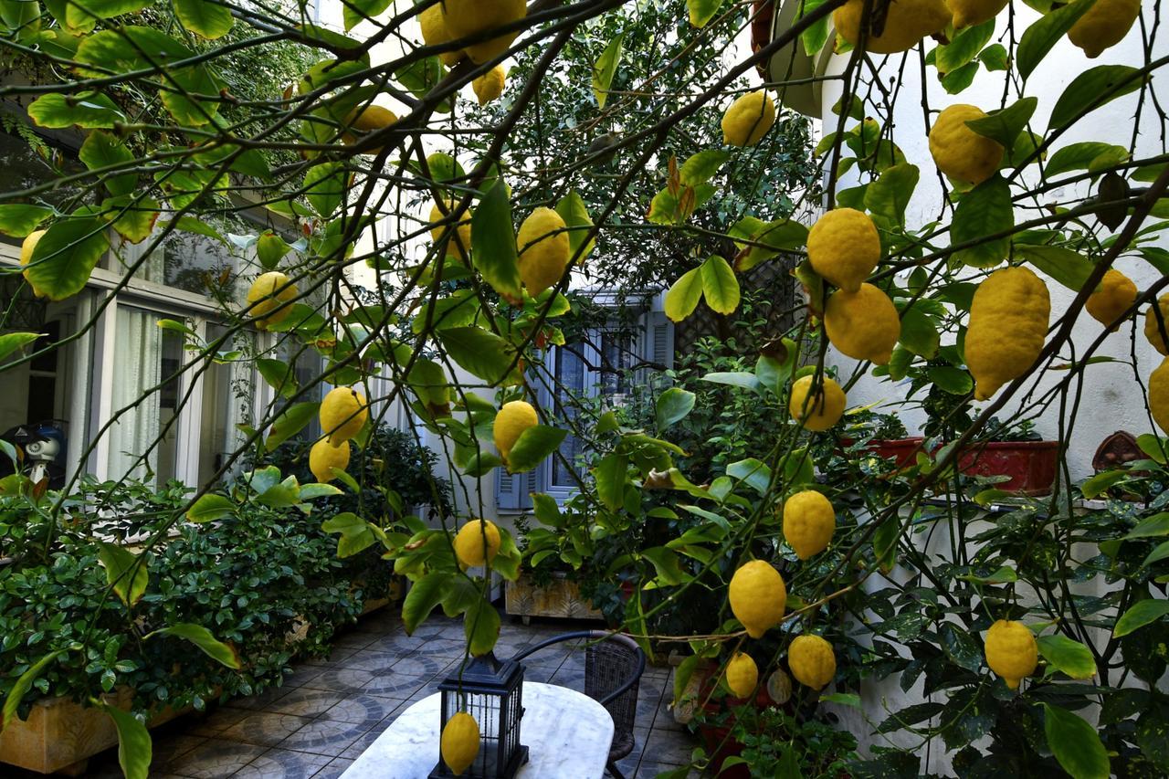 Athens Authentic Elegance At Acropolis Apartment Bagian luar foto